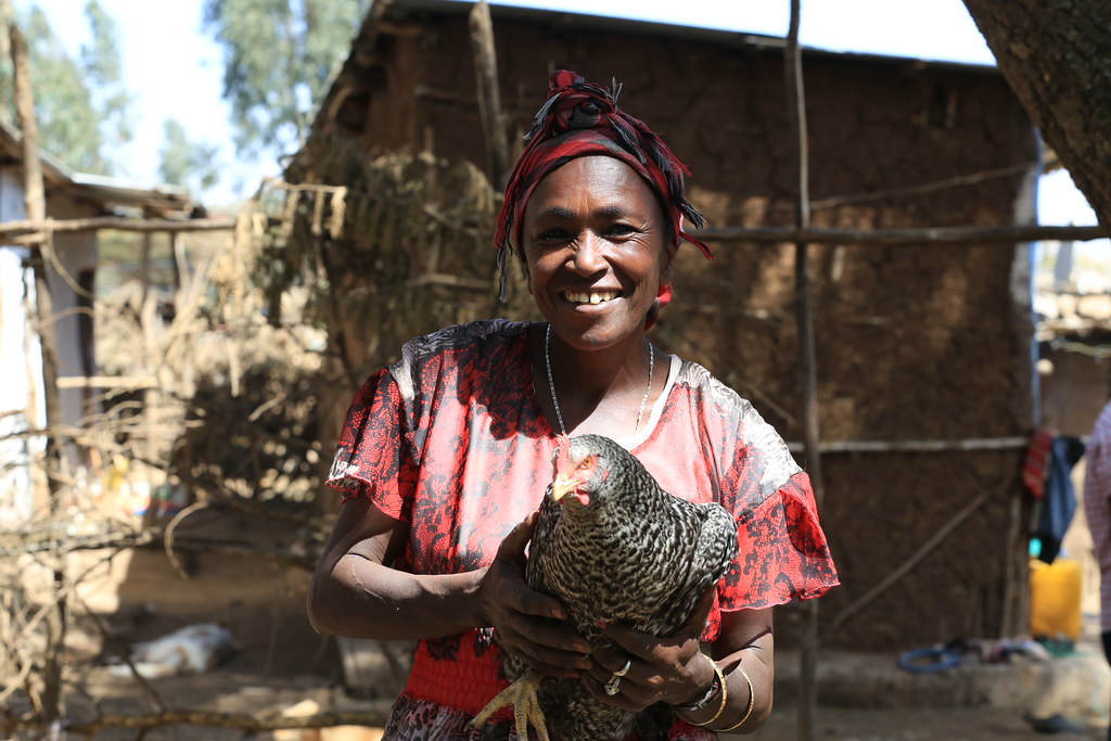 Women holding chicken